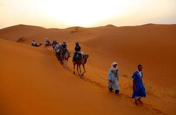 merzouga camel trekking