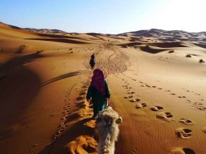  Desert  From Marrakech