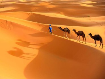 Morocco Desert Tours